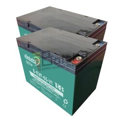 2 Bater�a 12 Voltios 65 Amperios Ciclo Profundo 6-EVF-65-VT