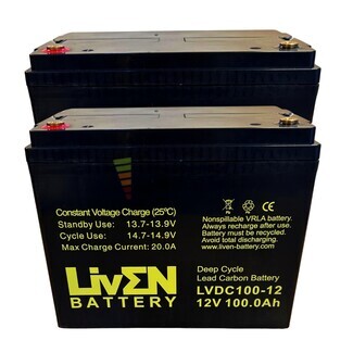 2 BateraS 12 voltios 100 amperios LVDC100-12 Ciclo Profundo