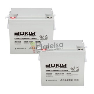2 Bateras Aokly 6GFM55G de Gel 12 Voltios 55 Amperios Sillas Movilidad
