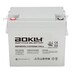 2 Bateras Aokly 6GFM55G de Gel 12 Voltios 55 Amperios Sillas Movilidad
