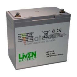 2 Bater�as de Litio 24 Voltios 60 Amperios LVIF60-12S