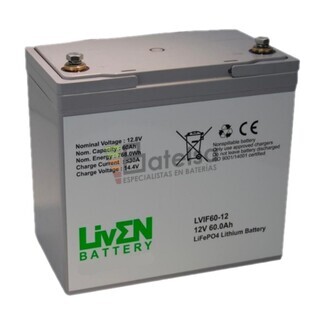 2 Bateras de Litio 24 Voltios 60 Amperios LVIF60-12S