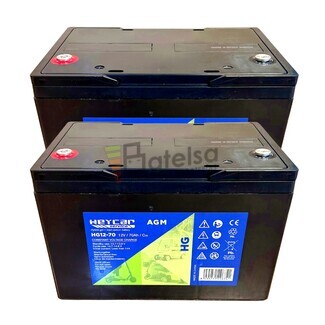 2 bateras transpaleta 12 Voltios 70 Amperios Gel Heycar HG12-70