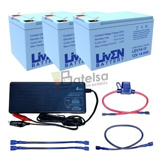 3 bateras patn elctrico 12 voltios 14 amperios y cargador 36 voltios LEV14-12 Liven Battery