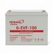 Bater�a 12 Voltios 100 Amperios Ciclo Profundo 6evf100