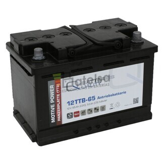 Batera 12 Voltios 65 Amperios 1.200 ciclos placa Tubular 12TTB-65 Qbatteries