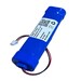 Batera 4.8 Voltios 2.200 mAh NI-MH conector 2 Pines Hembra