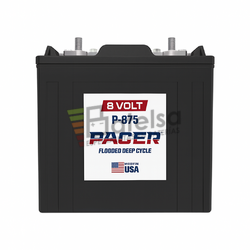 Batera 8 Voltios 165 Amperios Trojan Pacer P-875