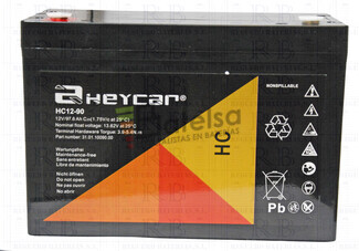 Bateria Agm HEYCAR HC12-90 12 Voltios 90 Amperios 306,5x168,5x235mm