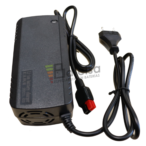 Cargador baterías carros de golf conector Anderson 12V 4A - Baterias para  todo Reguero Baterias