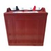 Batera Trojan T-875 8V 189Ah Potencia de Ciclo Profundo para Buggys
