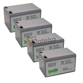 Bateras de Litio 48 Voltios 15 Amperios LVIF15-12