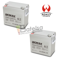 Bateras Scooter 12 Voltios 55 Amperios 6GFM55G