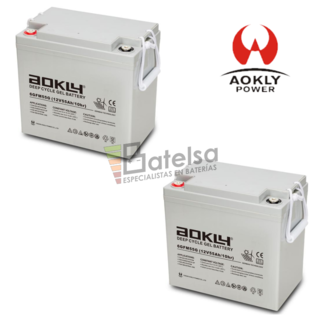 Bateras Scooter 12 Voltios 55 Amperios 6GFM55G