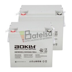 2 Bater�as Veh�culos Movilidad 12 Voltios 55 Amperios 6GFM55G