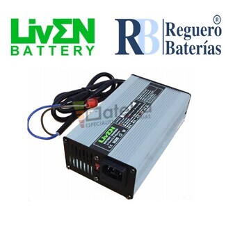 Cargador bateras 12 Voltios 6 Amperios Litio LifePO4