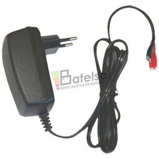 Cargador DSK Plomo automtico 6V 500 mAh BC6500