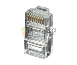 Conector modular RJ45 UTP Cat.6 de 50 micras oro