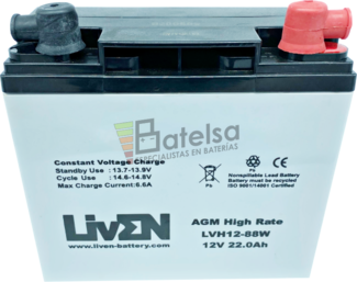 Conjunto 2 Bateras Movilidad 12 Voltios 22 Amperios LVH12-88 Liven Battery