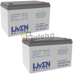 Kit 2 Bateras Gel 24 Voltios 60 Amperios Liven LEVG60-12S