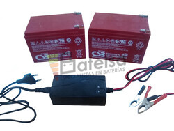 Kit 24 Voltios 15 Amperios EVH12150 y Cargador 24V para Scooter Elctricos