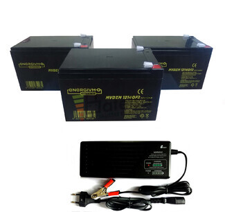 Kit 36 Voltios 14 Amperios MVDZM12140 y Cargador 36V para Scooter Elctricos