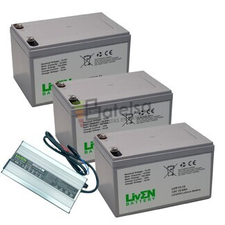 Kit Bateras Litio y Cargador 36 Voltios 15 Amperios LiFePO4