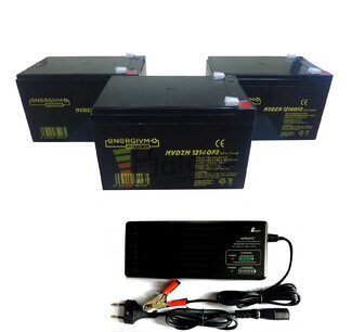 Kit de 3 Bateras 12V 14Ah MVDZM12140 y Cargador 36V