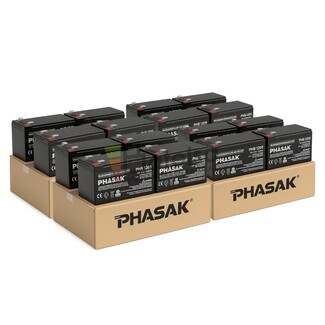 Pack 16 Bater�as 12 Voltios 9 Amperios Phasak PHB1209