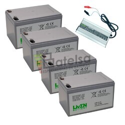 Pack Bater�as y Cargador Litio 48 Voltios 15 Amperios LVIF15-12