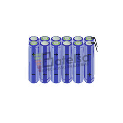 Batera AA 14.4 Voltios 2.000 mAh NI-MH BT13801619