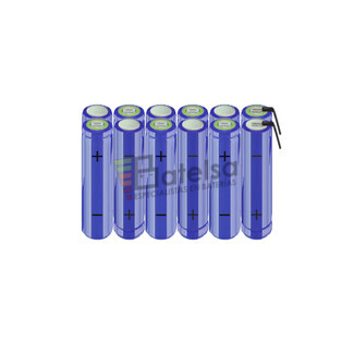 Batera AA 14.4 Voltios 2.000 mAh NI-MH BT13801619