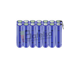 Batera AA 16.8 Voltios 2.000 mAh NI-MH BT13801631