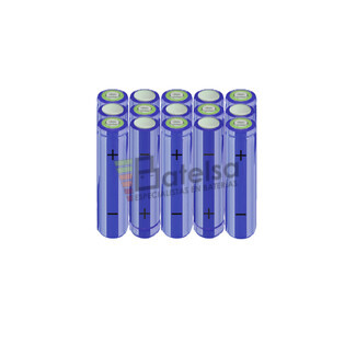 Batera AA 18 Voltios 2.000 mAh NI-MH BT13801437