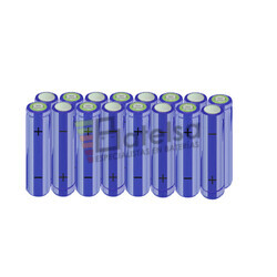 Batera AA 19.2 Voltios 2.000 mAh NI-MH BT13801477