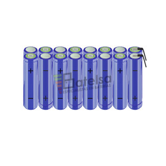 Batera AA 19.2 Voltios 2.000 mAh NI-MH BT13801633