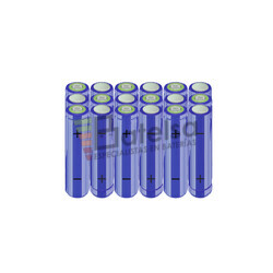 Batera AA 21,6 Voltios 2.000 mAh NI-MH BT13801443