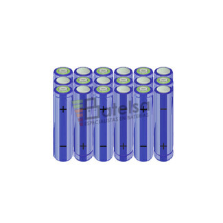 Batera AA 21,6 Voltios 2.000 mAh NI-MH BT13801443