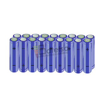 Batera AA 21,6 Voltios 2.000 mAh NI-MH BT13801480