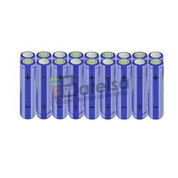 Batera AA 21,6 Voltios 2.000 mAh NI-MH BT13801481