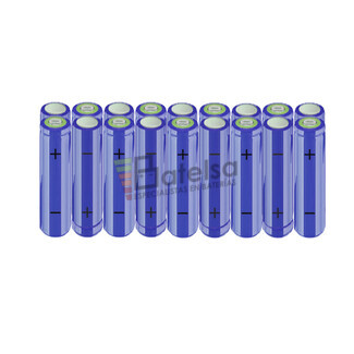 Batera AA 21,6 Voltios 2.000 mAh NI-MH BT13801481