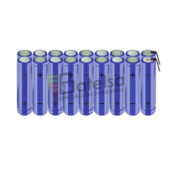 Batera AA 21,6 Voltios 2.000 mAh NI-MH BT13801635