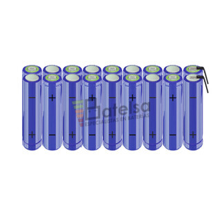 Batera AA 21,6 Voltios 2.000 mAh NI-MH BT13801635