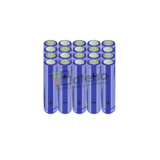 Batera AA 24 Voltios 2.000 mAh NI-MH BT13801440