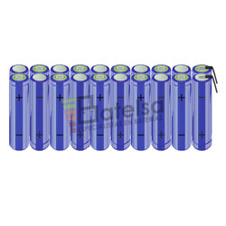 Batera AA 24 Voltios 2.000 mAh NI-MH BT13801623