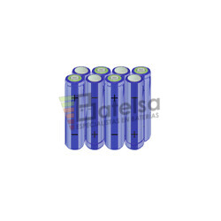 Batera AA 9.6 Voltios 2.000 mAh NI-MH BT13801396