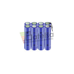 Batera AA 9.6 Voltios 2.000 mAh NI-MH BT13801629