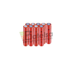 Batera AAA 10.8 Voltios 800 mAh NI-MH BT13801850