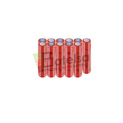 Batera AAA 13.2 Voltios 800 mAh NI-MH BT13801858