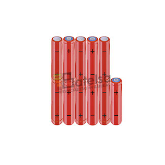 Batera AAA 13.2 Voltios 800 mAh NI-MH BT13801928